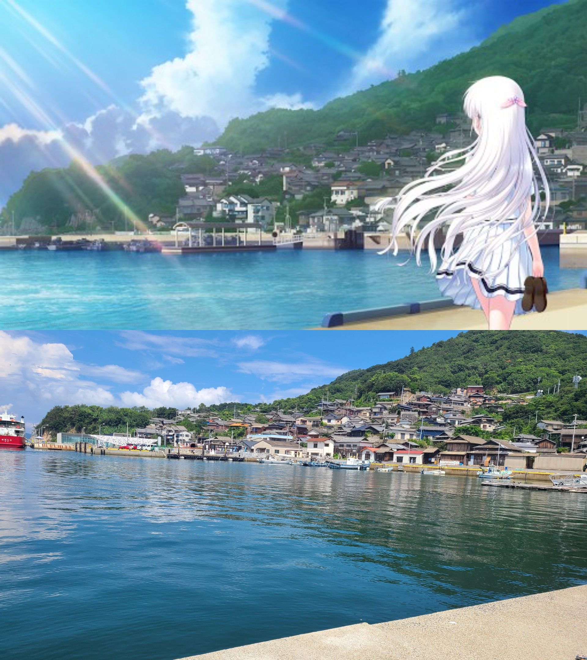 [神奇海螺][对比图生成器][m0f9k719]